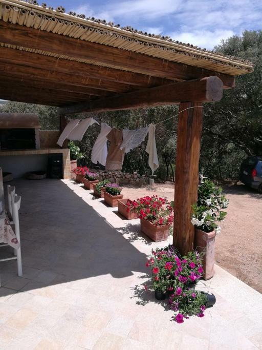 Appartamento L'Albero Magico Nella Campagna Gallurese Santa Teresa Gallura Exterior photo