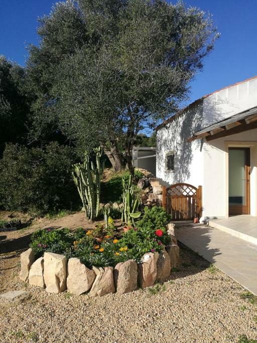 Appartamento L'Albero Magico Nella Campagna Gallurese Santa Teresa Gallura Exterior photo